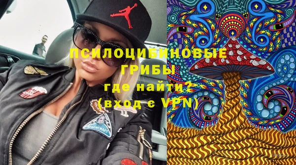 МДПВ Абаза
