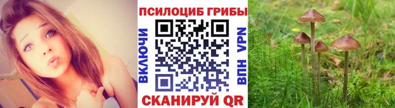 сайты даркнета формула  Ртищево  Псилоцибиновые грибы мицелий  кракен как войти 