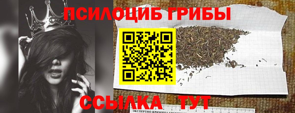 Галлюциногенные грибы Psilocybine cubensis Ртищево