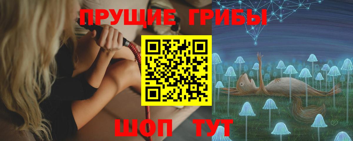 Ртищево  где продают наркотики  Псилоцибиновые грибы мицелий  Вход с VPN  Псилоцибиновые грибы ЛСД 